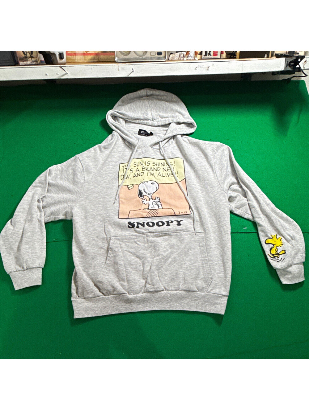 Peanuts Snoopy Woodstock Gray Graphic Print Pullover Fleece Hoodie Men's L